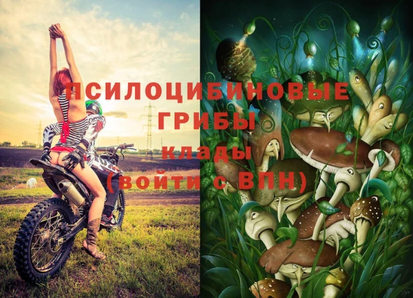 соль курить ск Вязьма