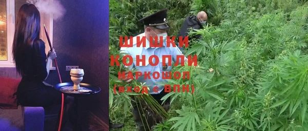 сатива Горнозаводск