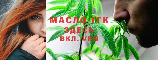 сатива Горнозаводск