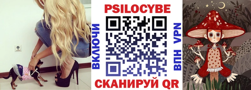 Галлюциногенные грибы Psilocybe ссылка на мегу Железногорск-Илимский